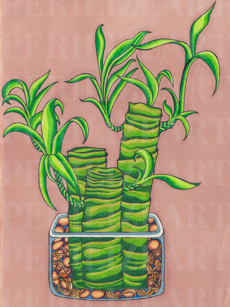 Bamboo Still Life